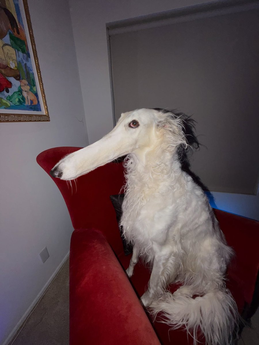 The creature that lives during your blinks