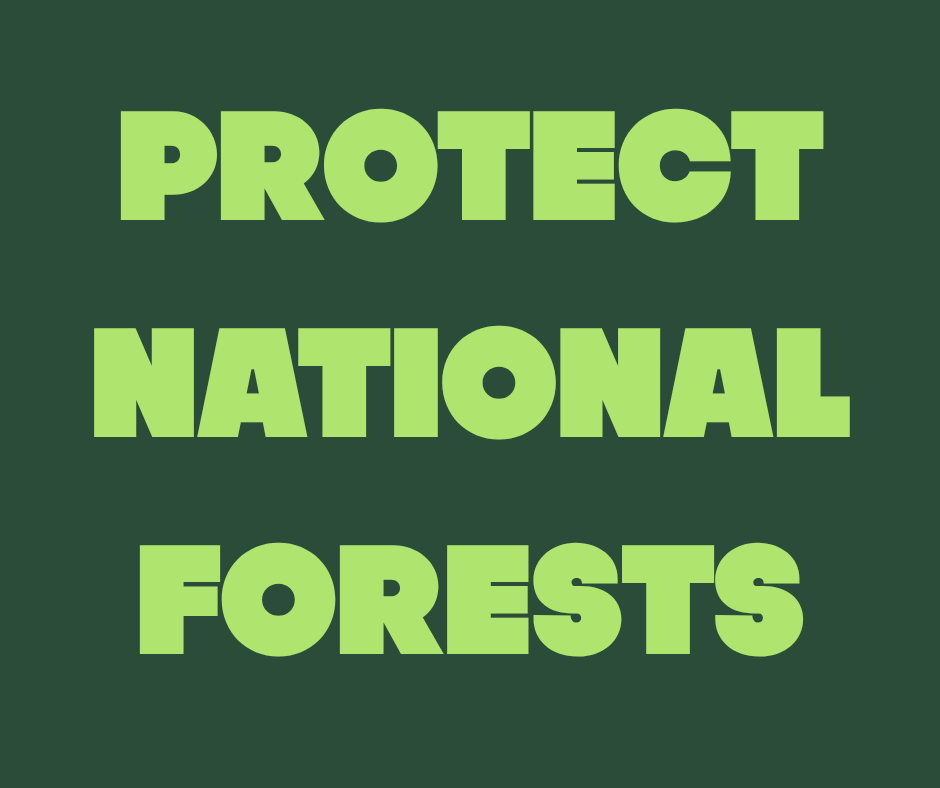 Dean4IL's tweet image. Cherishing, supporting, and protecting our #NationalForests. #USFS