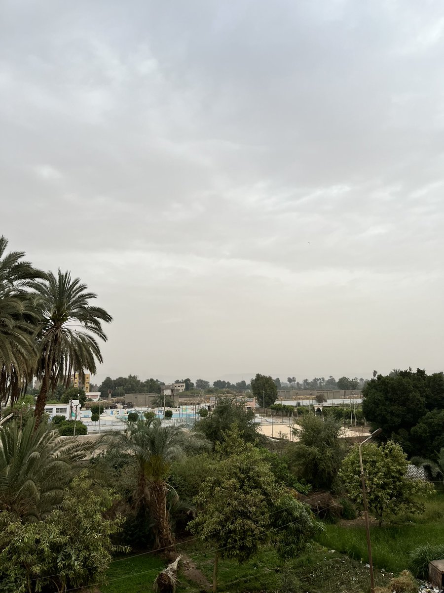 آلاء tweet media