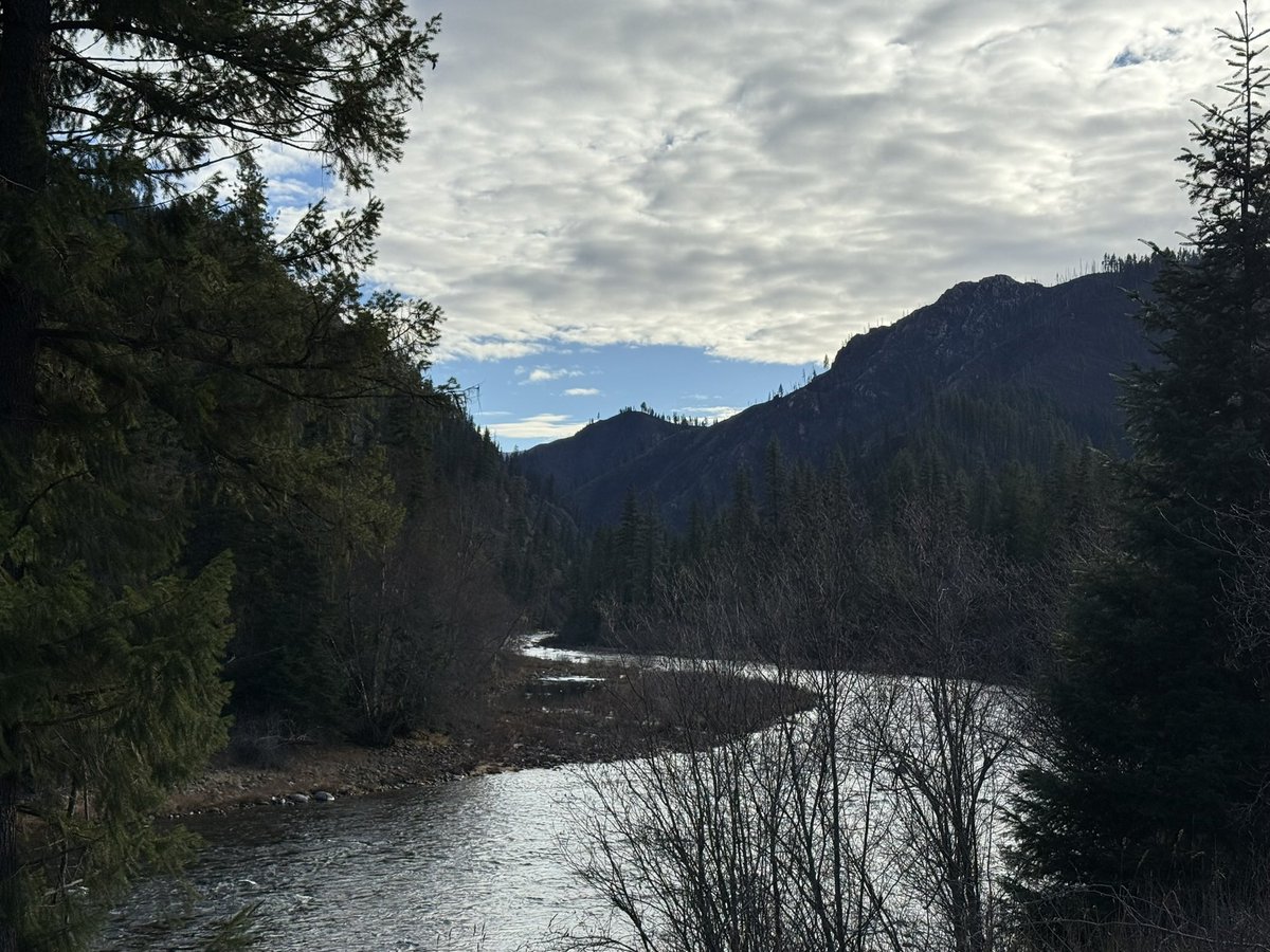 Lyle Lewis tweet media