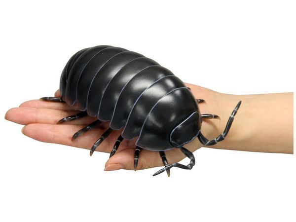 🌧️🐛io tweet media