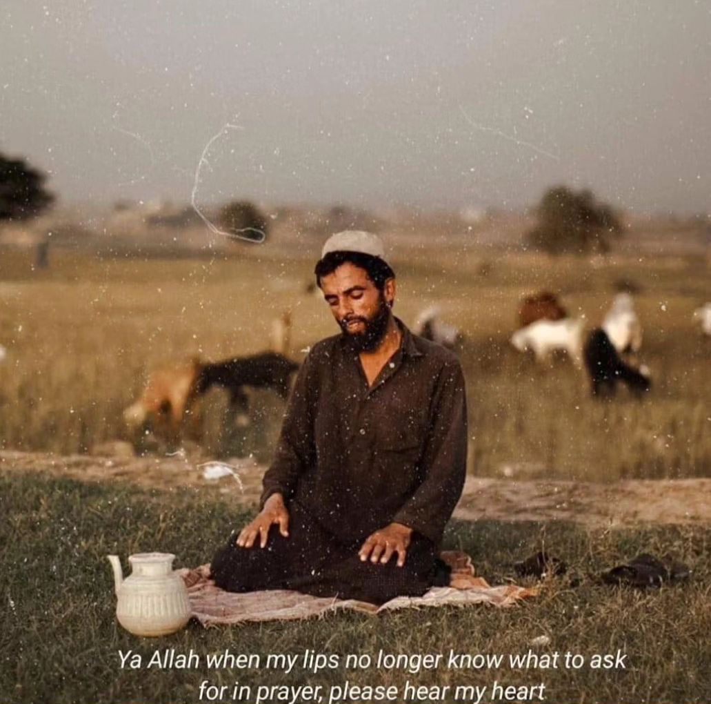 MuslimMatters tweet media