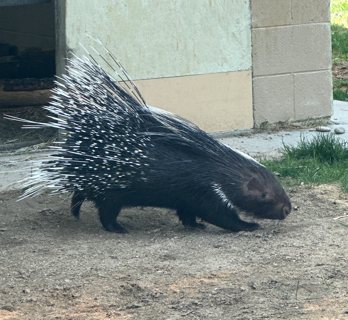 Zoo Boise tweet media