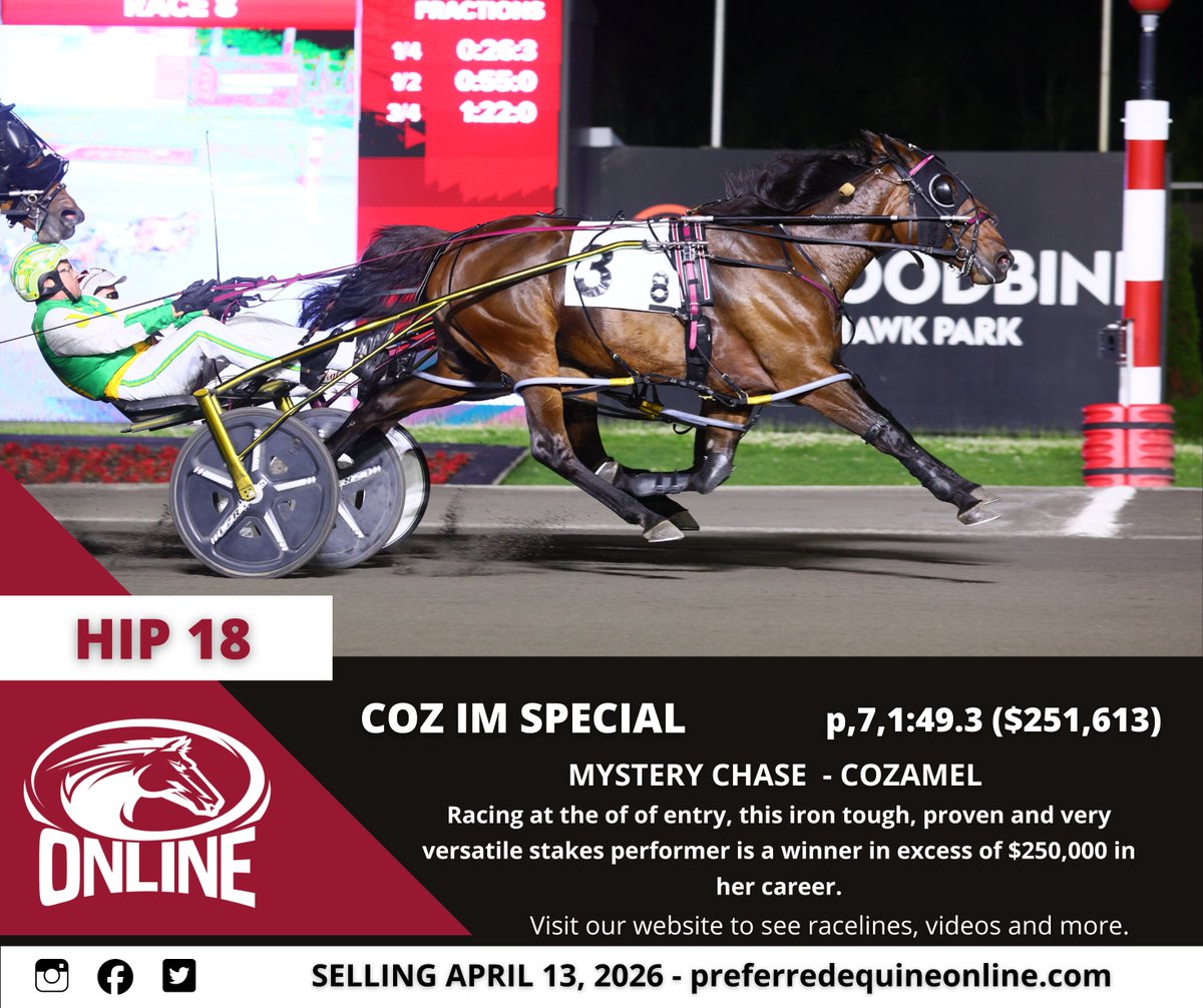 Preferred Equine tweet media