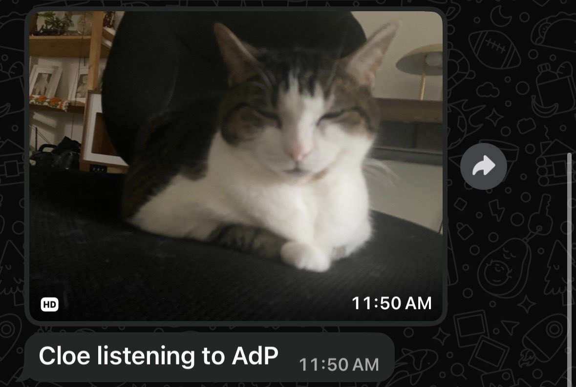 .............vega tweet media