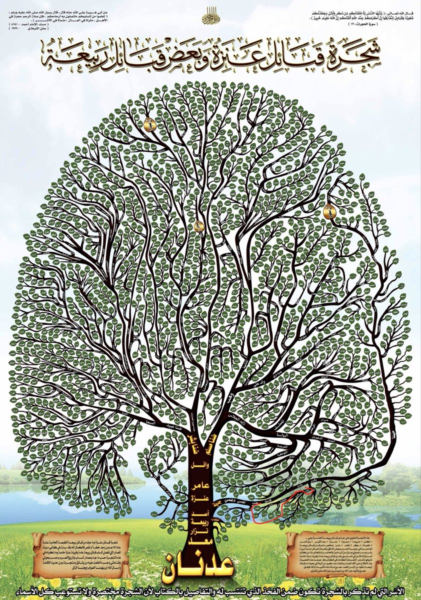 محمد بن عبدالله tweet media