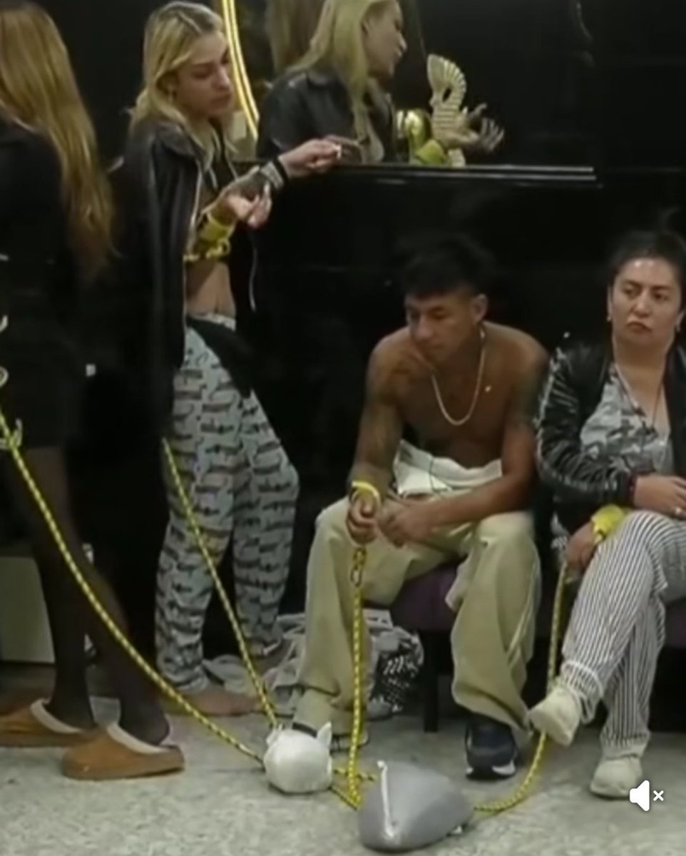 GHGeneraciónDorada tweet media