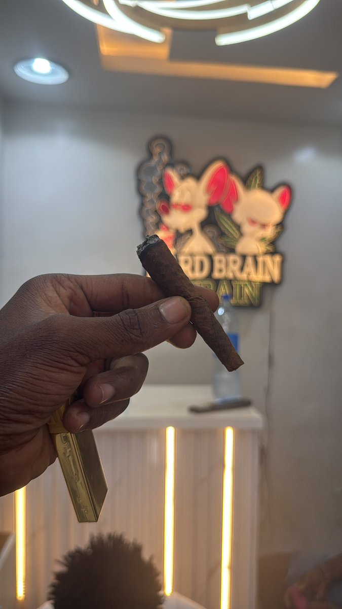 HARD BRAIN 🧠 STRAIN 🌳 tweet media