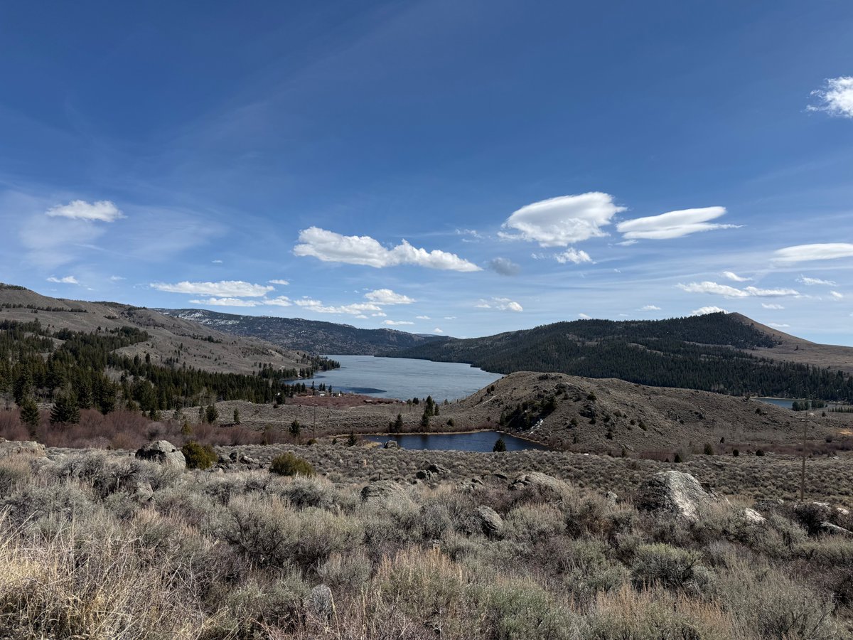 Dean4IL's tweet image. Cherishing, supporting, and protecting our #NationalForests. #USFS