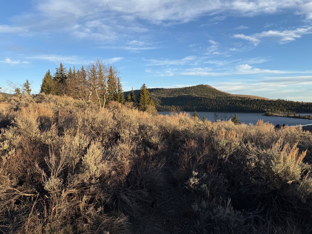 Dean4IL's tweet image. Cherishing, supporting, and protecting our #NationalForests. #USFS