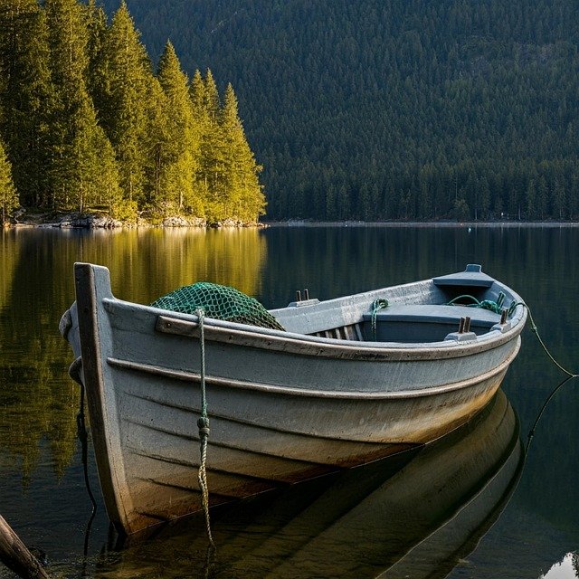 Troy Goodlow tweet media