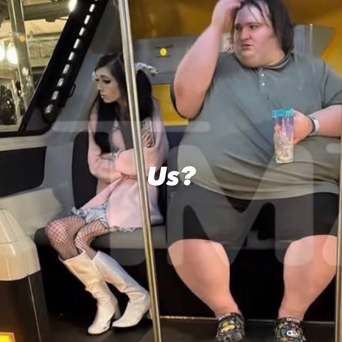 Braindead Bird App tweet media