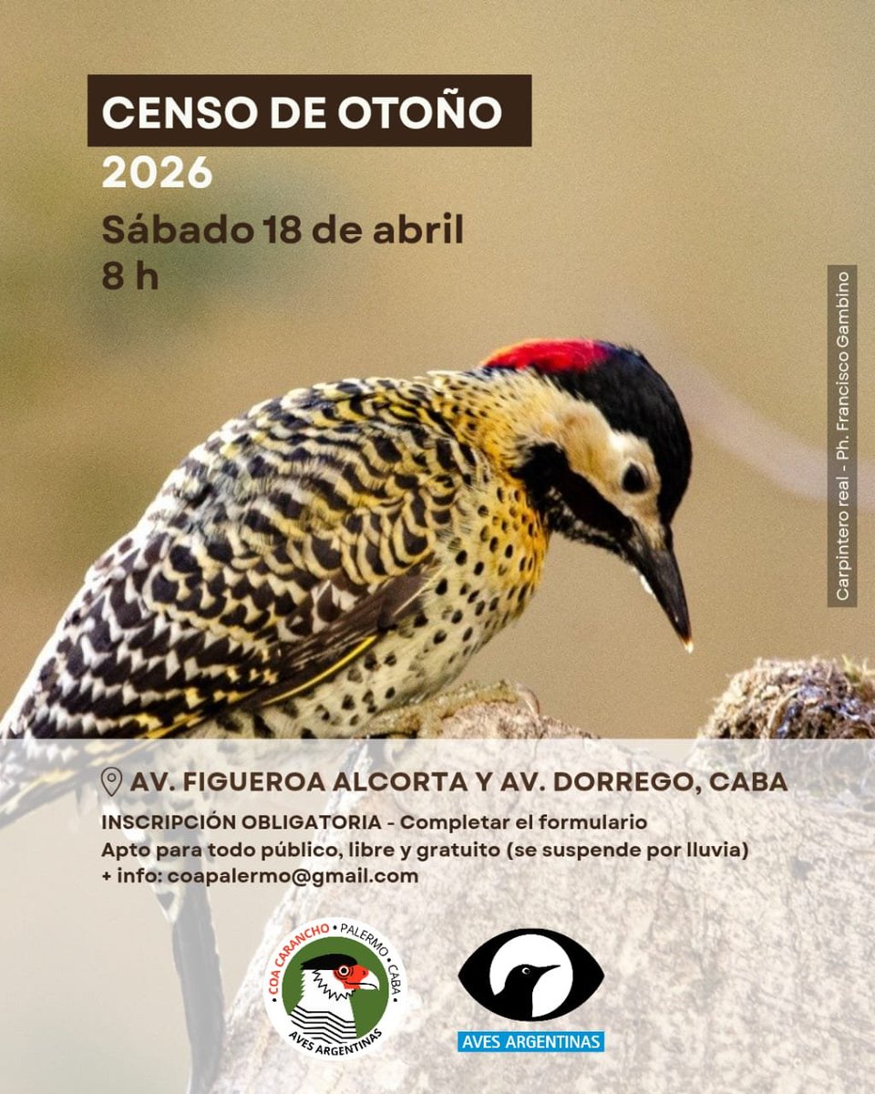 COA Carancho tweet media