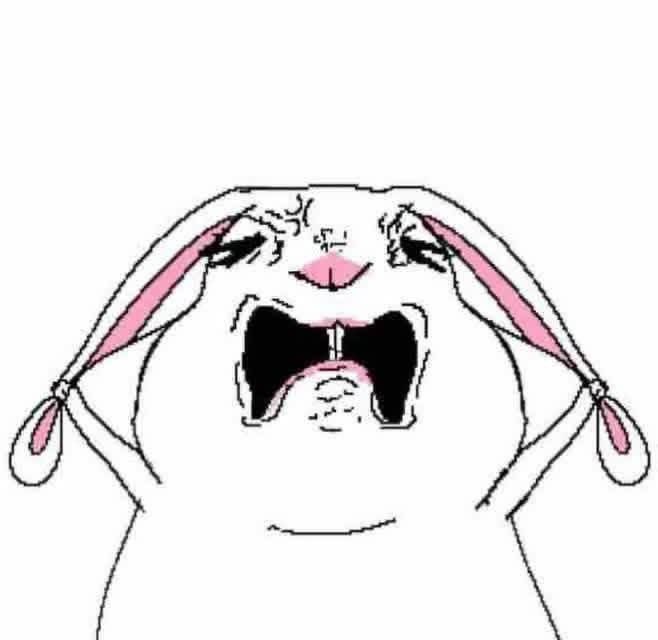 naepit1's tweet photo. Không comeback là tốn tiền hoài đó nha=))))))))))))))))))))))))))))))))))))) https://t.co/iW2vloJ7MK