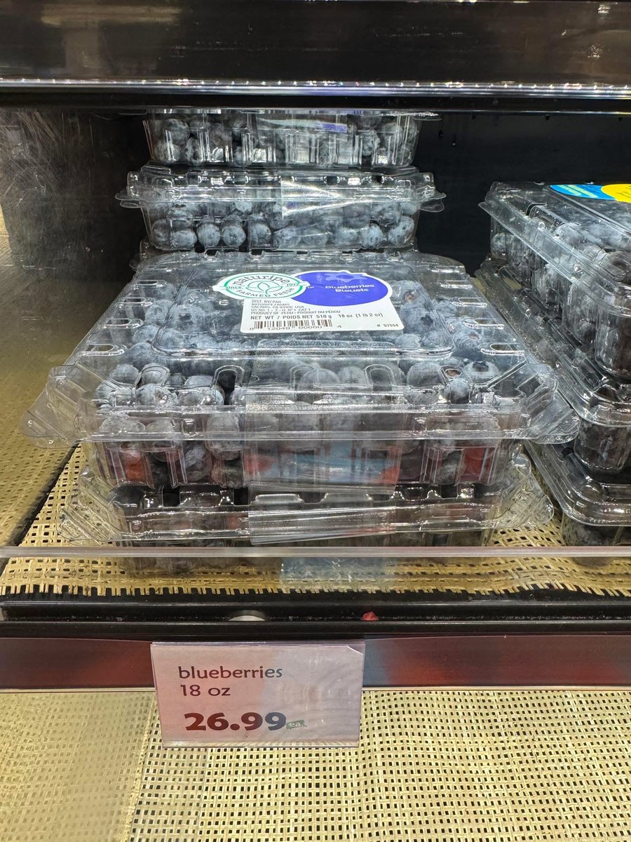 Tiki 🧜♀️🐴 tweet media