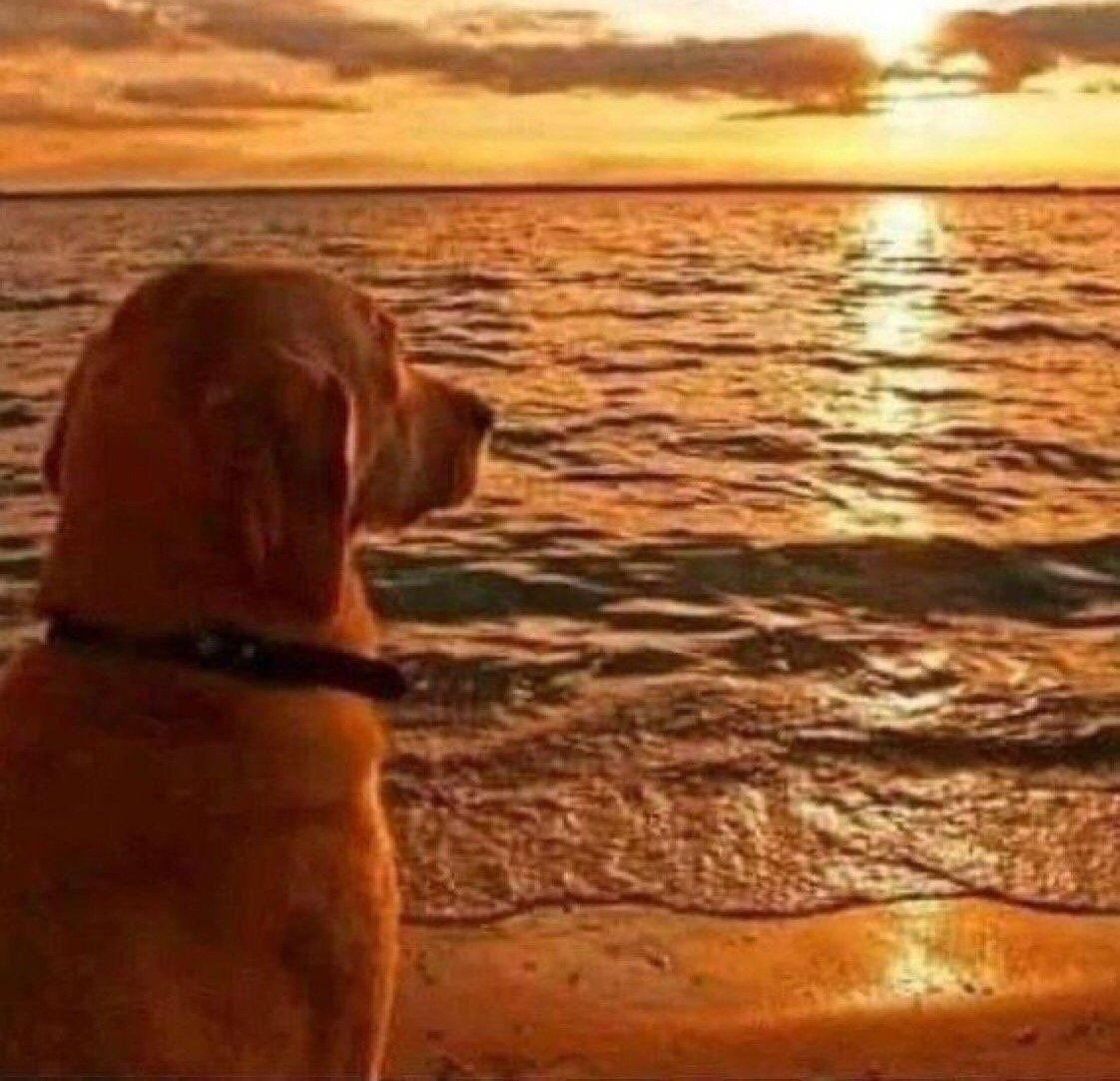 🥷🏻 tweet media