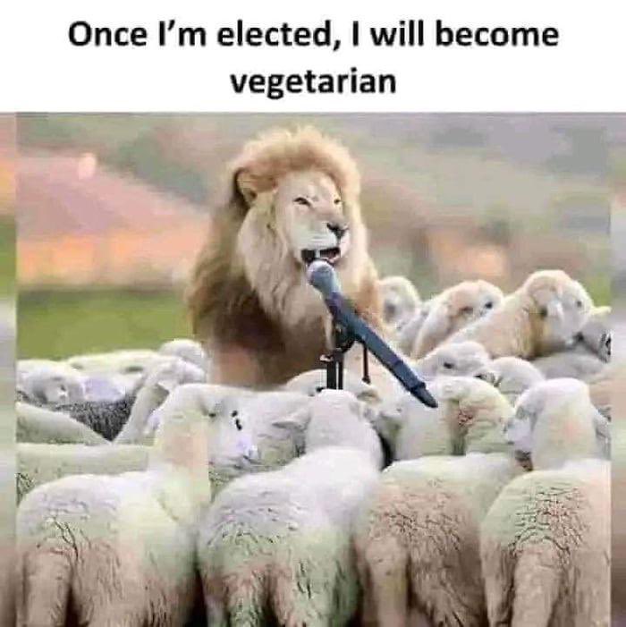 {•_•} tweet media