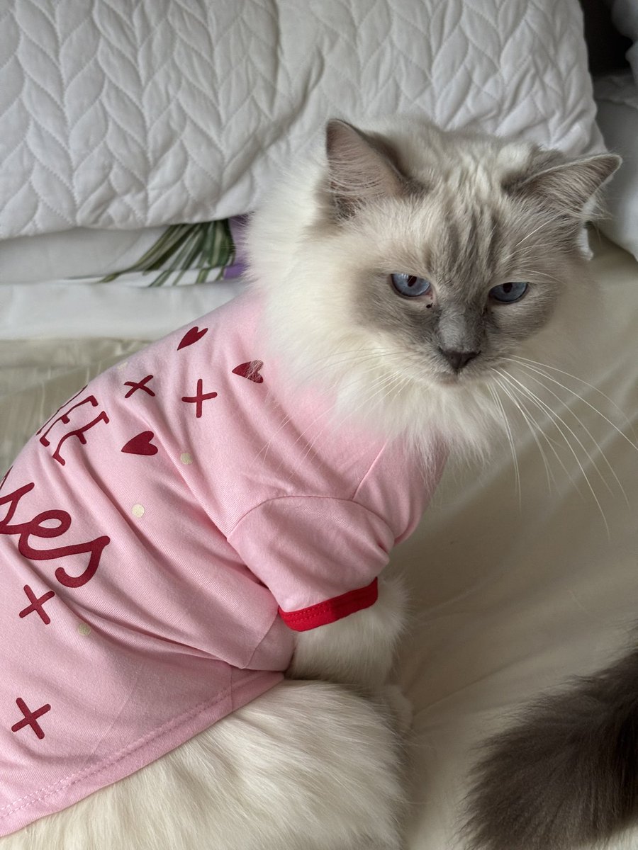 Lois,a Cat & GSD lover, Far Right apparently 🤷‍♀️ tweet media