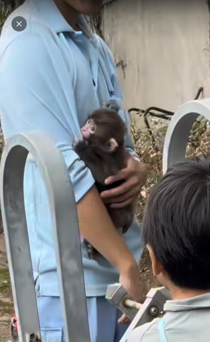 Krystal 수정 tweet media