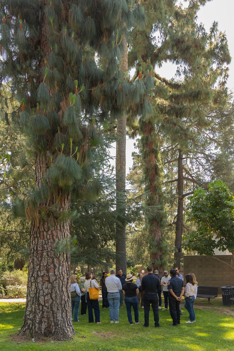 DanLambe's tweet photo. An inspiring week in SoCal, surrounded by partners leading the way in recovery and replanting efforts after the Eaton Fire.

 We are grateful to work alongside such dedicated, passionate collaborators. Together, we’ll continue to bring back life, shade, and hope to this region. https://t.co/Wb7cD4a2cF
