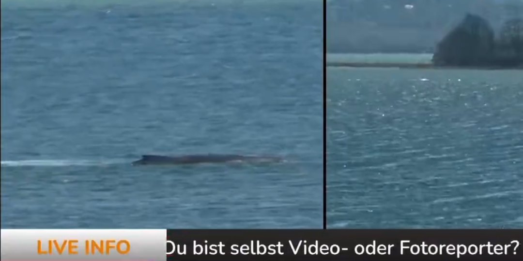 _14o  ¿? tweet media