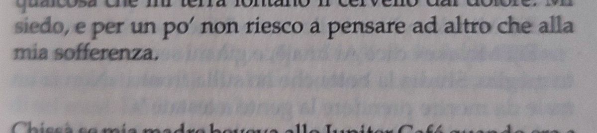 Checco Coniglio tweet media