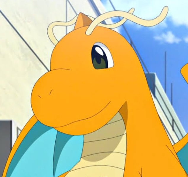 Amphy 🐑 tweet media