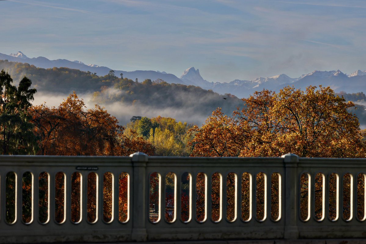 𝓕𝓻𝓮𝓭 𝓜𝓪𝓻𝓾𝓵𝓲𝓮𝓻 tweet media