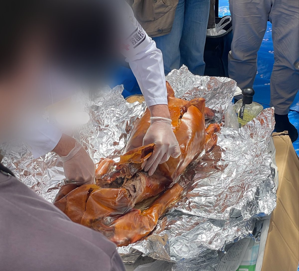 #雨庭花見中
先週の大阪にてお花見してきました。
アフター万博ケーキや豚ちゃんを頂きました。
豚ちゃんははお医者様により丁寧に取り分けられてました。