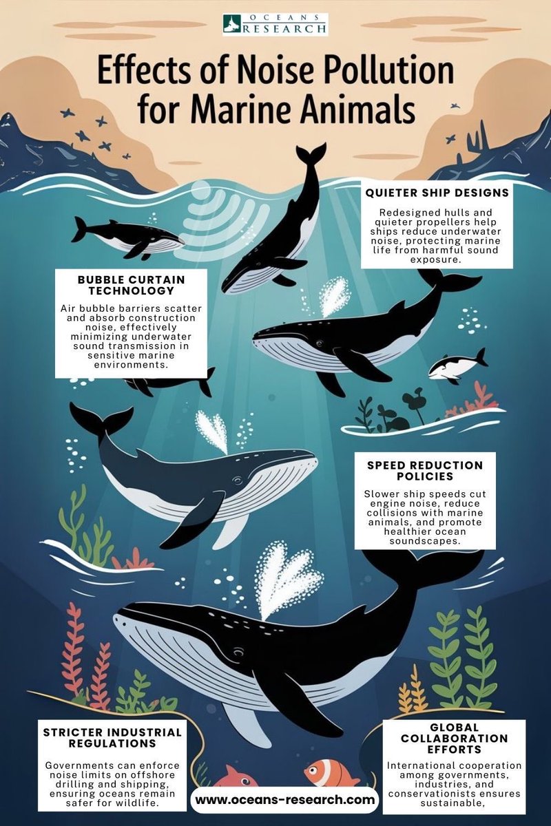 ⋆⁺₊✧ tweet media