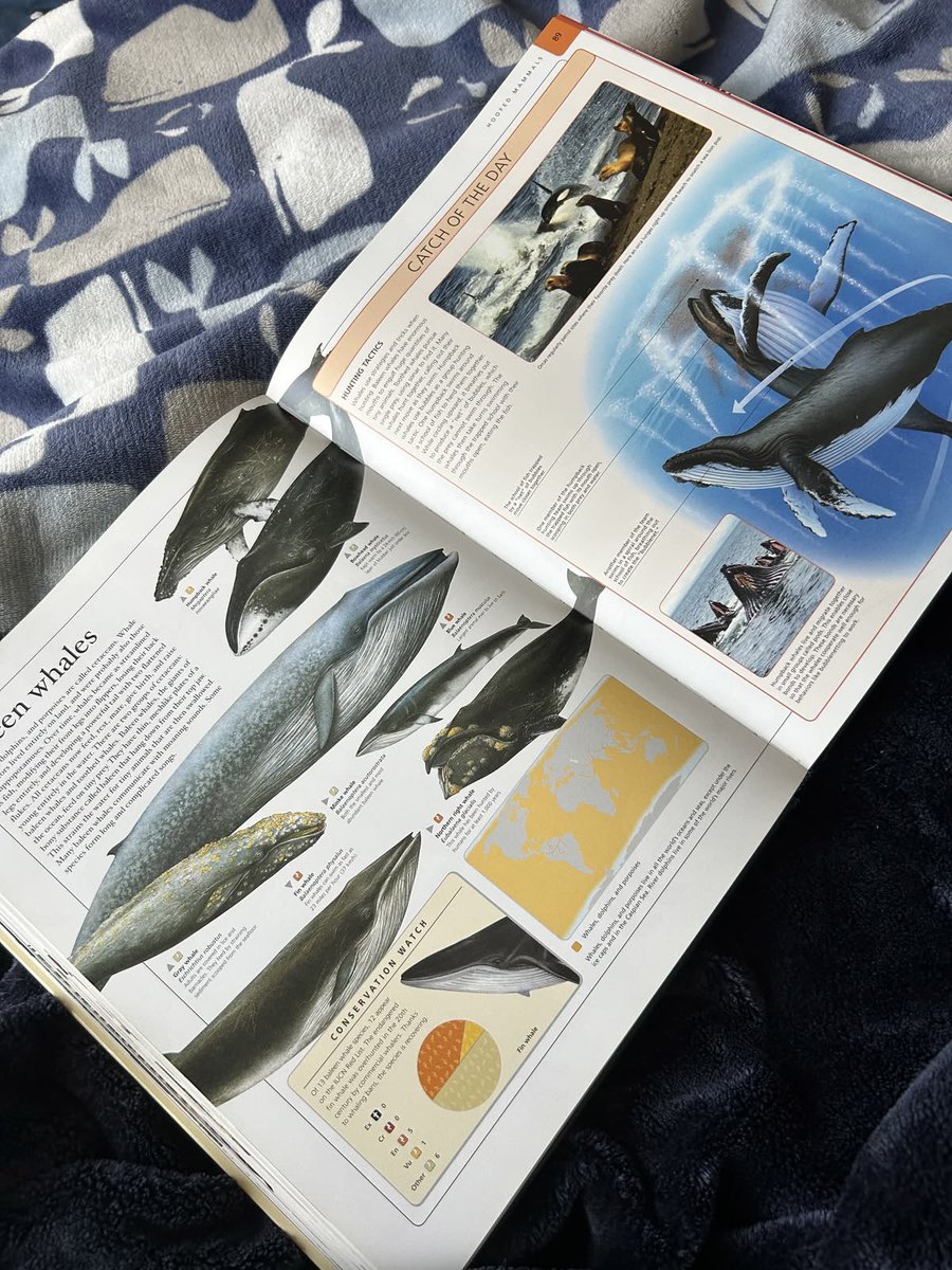 ⋆⁺₊✧ tweet media