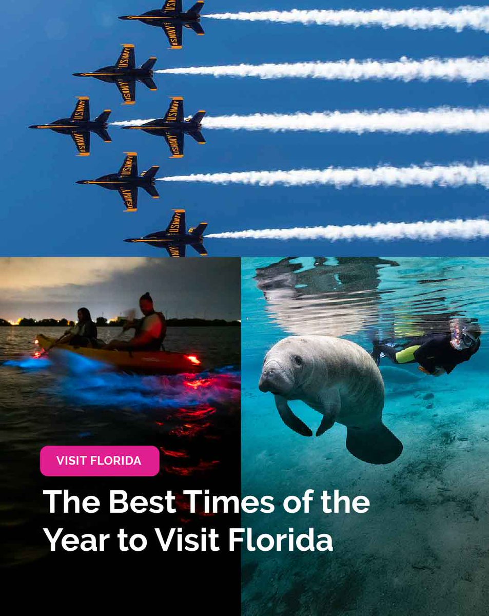 VISIT FLORIDA tweet media