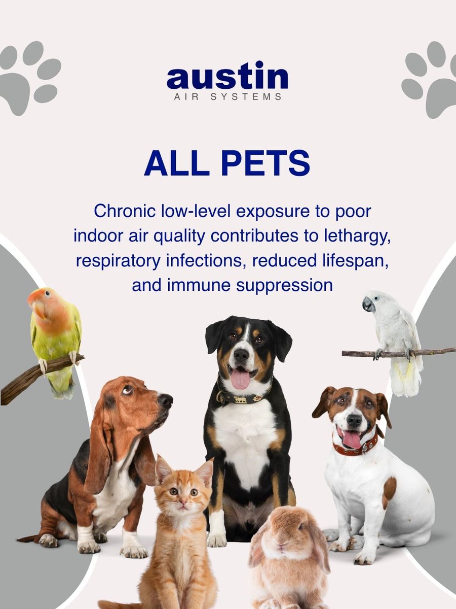 Austin Air Purifiers tweet media