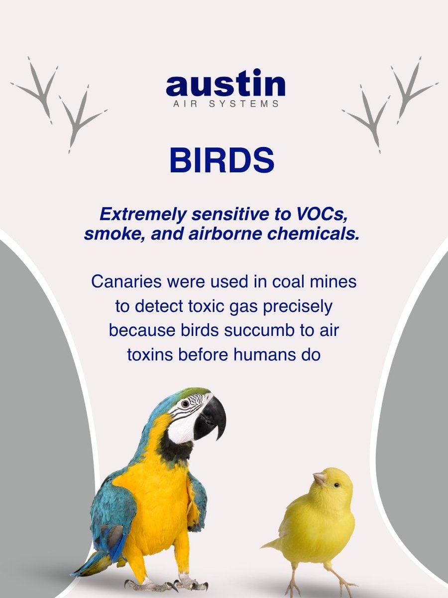 Austin Air Purifiers tweet media