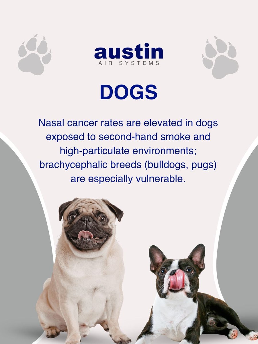 Austin Air Purifiers tweet media