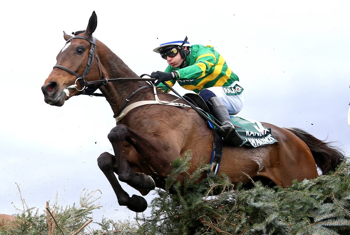 The Bookies Nightmare tweet media