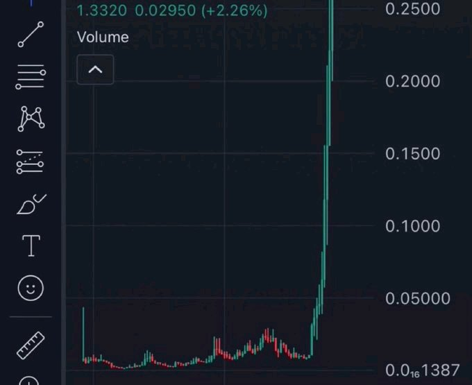 1000xgirl tweet media