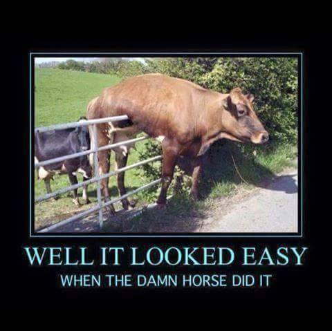 Devil's ☠️ Mean ☠️ Twin 🇫🇮 tweet media