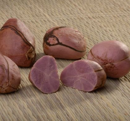 Trenches 🦂 tweet media