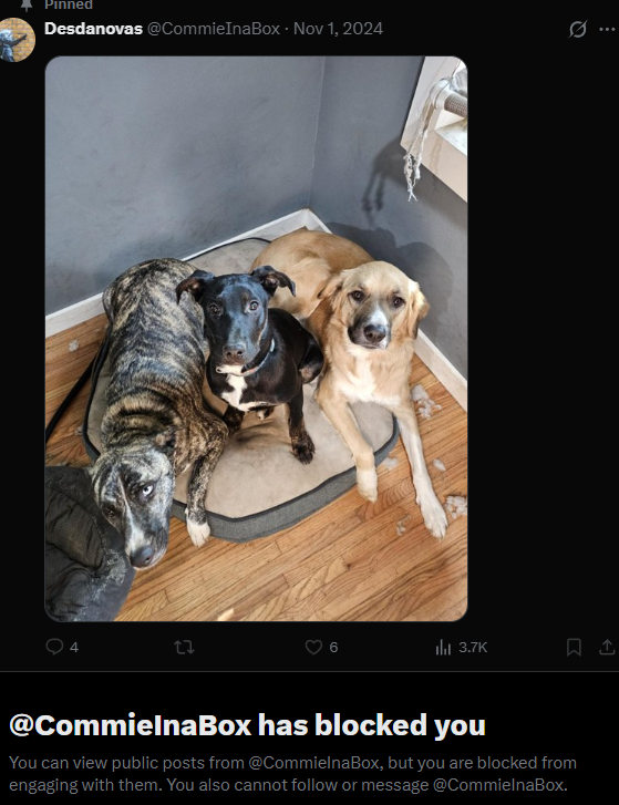 Slavic Man tweet media