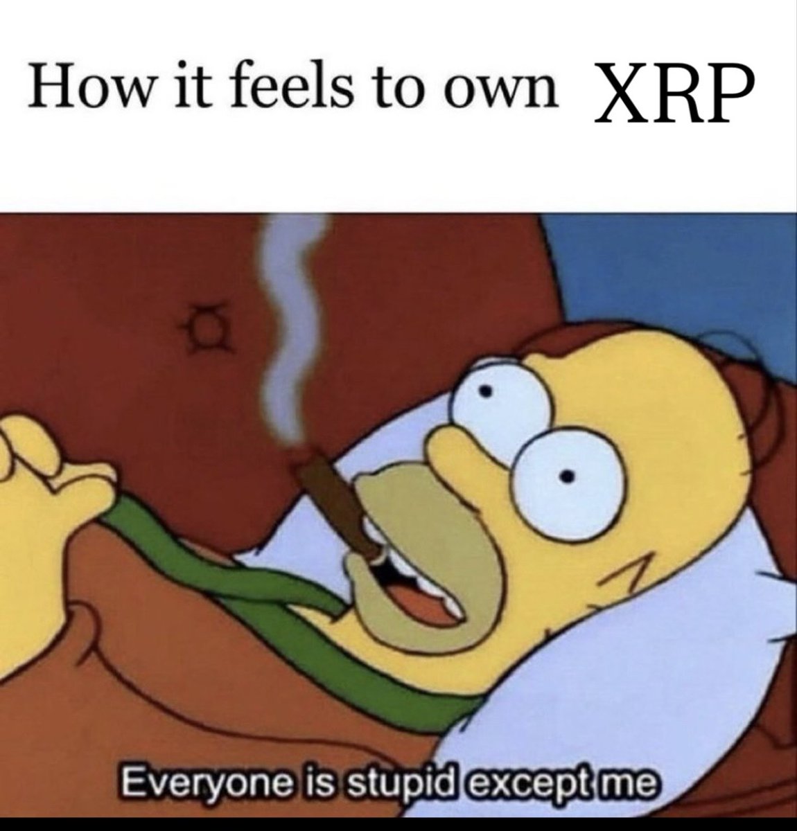 Chloe the XRP shiller 💙 tweet media