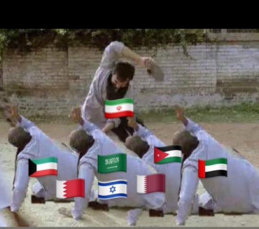 علي جعفر tweet media