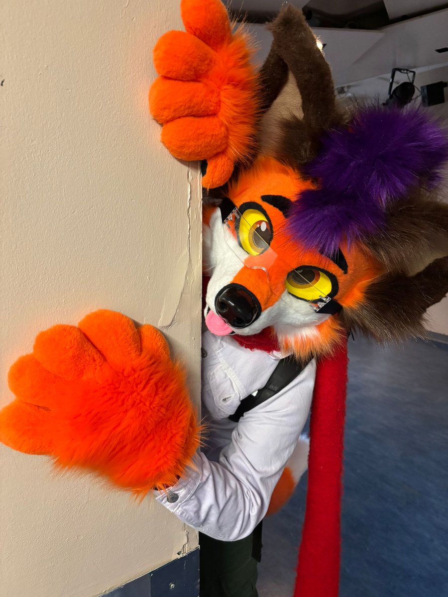 UFennix's tweet photo. Peaking around for this weeks fursuit friday  

📸==== @mmmaisie_moo on Instagram #fursuitfriday #fursuiter #ukfursuiter #furries #furrycharacter https://t.co/NCau5POUM3