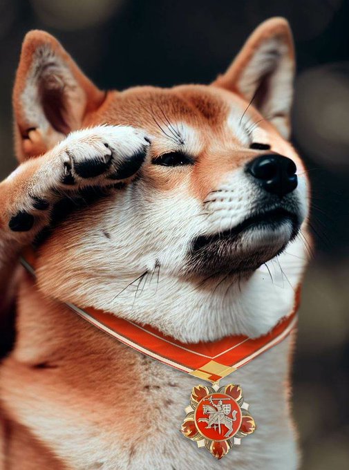 The Vaccination Station ⚕️ 🇦🇺 tweet media