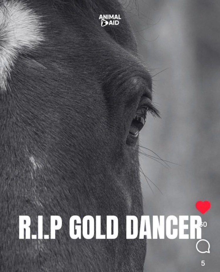 PROTECT ALL WILDLIFE tweet media