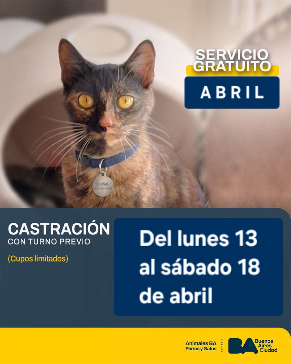 protegealanimal's tweet photo. CABA
TURNOS: https://t.co/DGSMQt2ARM
#CABA #CABALLITO #RECOLETA #BALVANERA #LABOCA #PARQUEPATRICIOS #CONSTITUCIÓN #POMPEYA #NUÑEZ #FLORES #VILLALURO #COSTANERASUR #MATADEROS #PATERNAL #ALMAGRO #BOEDO #LINIERS #CHACARITA #MATADEOS #VILLASOLDATI #VILLAURQUIZA #PALERMO
#CAPFED https://t.co/qnTsYgZJn8