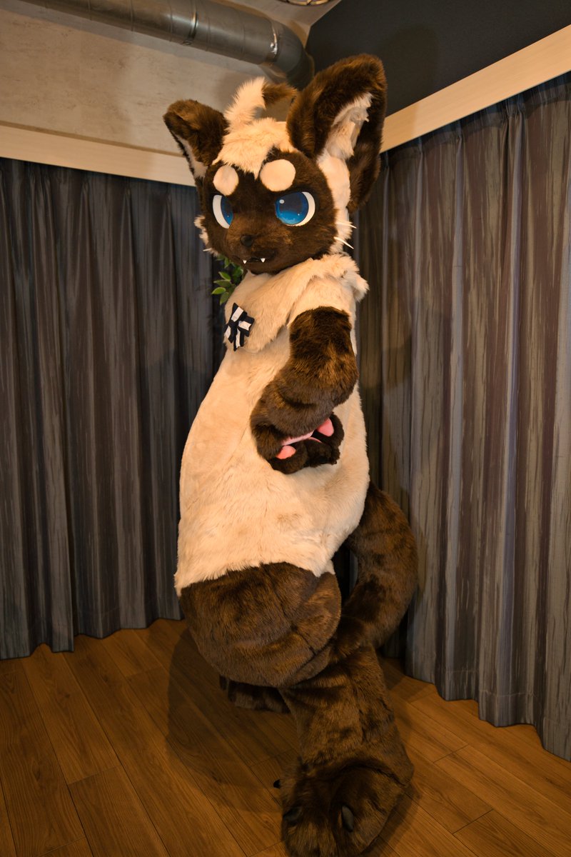 ふーた🐾🔜ケモノクロス? tweet media