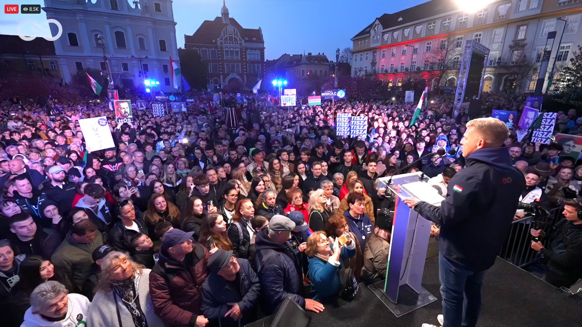 Tibor M. Kalman tweet media