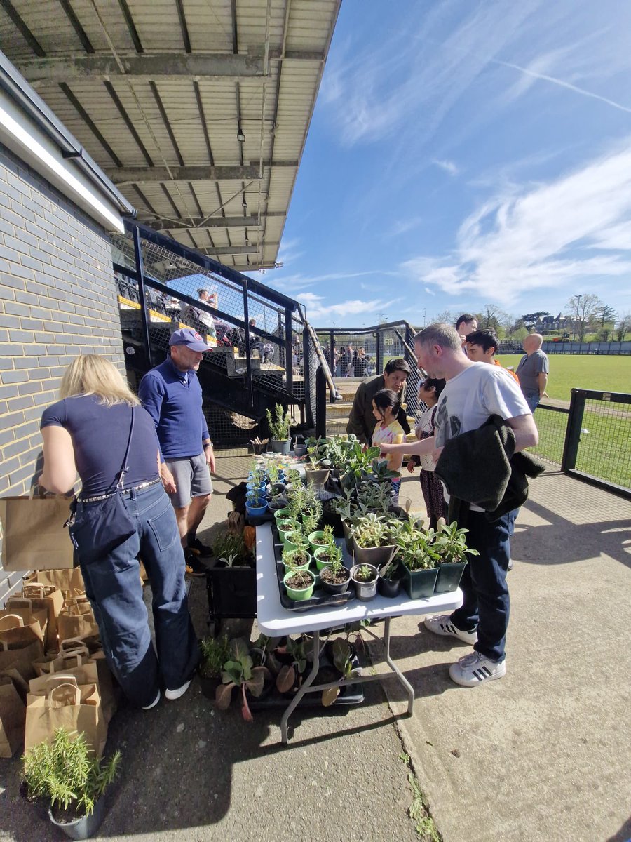 Tooting & Mitcham United FC tweet media