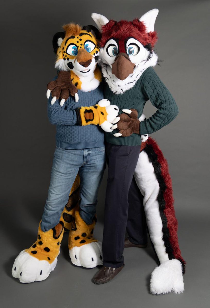 Zeffin 🔜 AQF tweet media